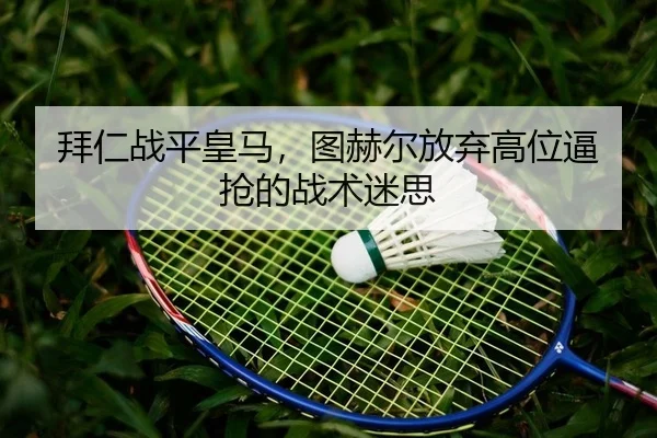 bai-ren-zhan-ping-huang-ma-tu-he-er-fang-qi-gao-wei-bi-qiang-de-zhan-shu-mi-si-2-263.jpg